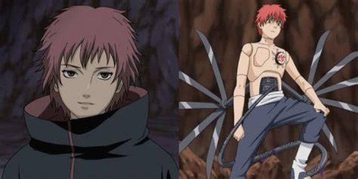 Sasori&nbsp;